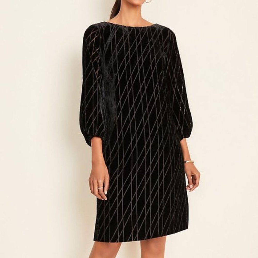 Ann Taylor Petite Velvet Dress